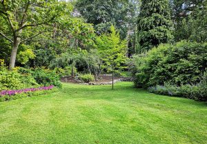 Optimiser l'expérience du jardin à Montigny-Saint-Barthelemy